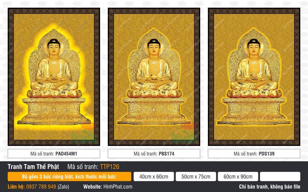 Hình Tam Thế Nhất Thiết Chư Phật TTP126 Hình Tam Thế Nhất Thiết Chư Phật TTP126 rực rỡ sắc vàng kim phối khung viền sẫm màu