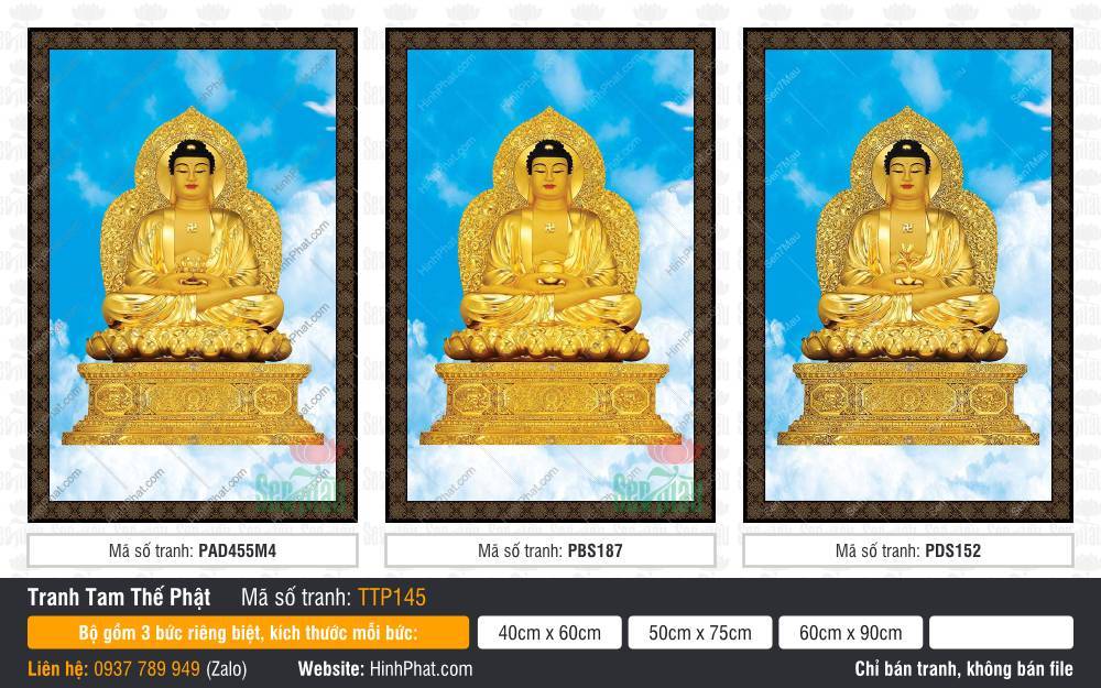 Hình Tam Thế Nhất Thiết Chư Phật TTP145 Hình Tam Thế Nhất Thiết Chư Phật TTP145 ngự tòa sen vàng giữa nền trời xanh mây trắng