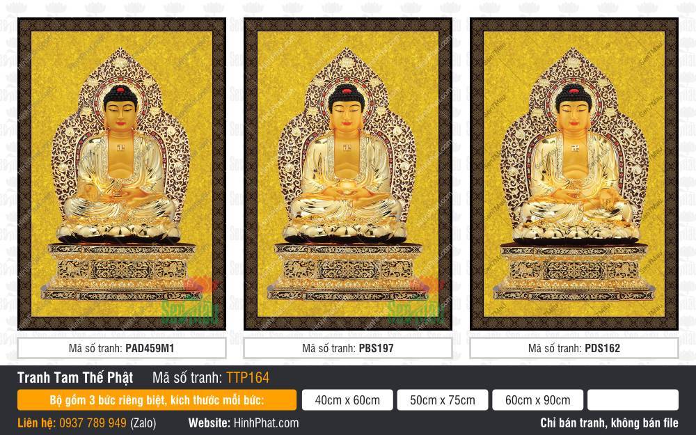 Hình Tam Thế Nhất Thiết Chư Phật TTP164 Hình Tam Thế Nhất Thiết Chư Phật TTP164 với hào quang ren vàng cổ kính
