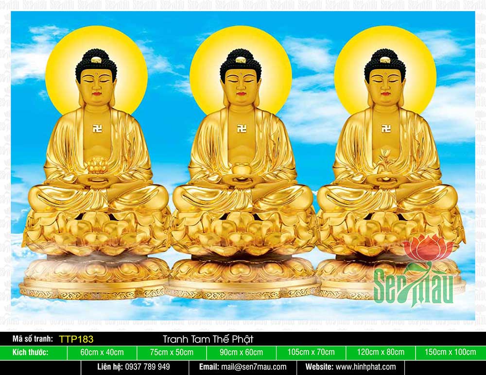 Hình Tam Thế Nhất Thiết Chư Phật TTP183