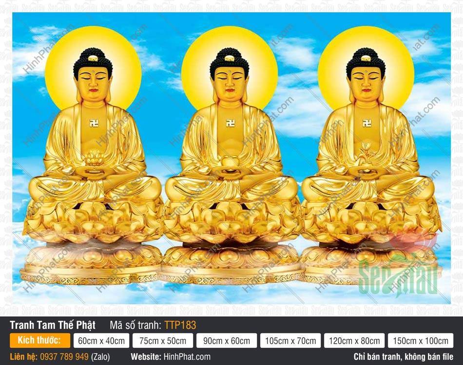 Hình Tam Thế Nhất Thiết Chư Phật TTP183 Hình Tam Thế Nhất Thiết Chư Phật TTP183 tỏa sắc hoàng kim giữa phông nền trời mây tươi sáng