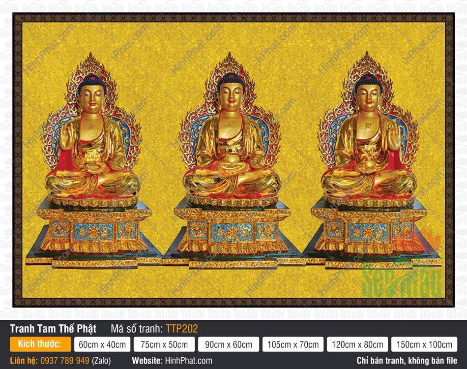 Hình Tam Thế Nhất Thiết Chư Phật TTP202 Hình Tam Thế Nhất Thiết Chư Phật TTP202 ngự tòa sen xanh hào quang đỏ rực