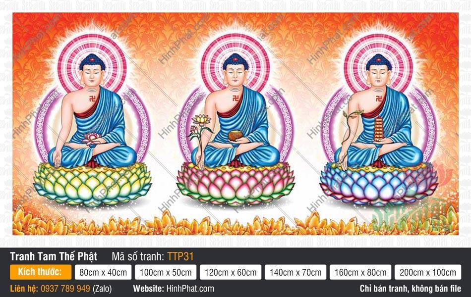Hình Tam Thế Nhất Thiết Chư Phật TTP31 Hình Tam Thế Nhất Thiết Chư Phật TTP31 khắc họa ba Đức Phật ngự đài sen