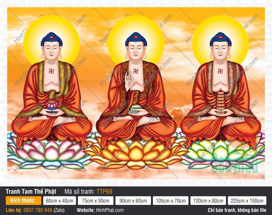 Hình Tam Thế Nhất Thiết Chư Phật TTP69 Hình Tam Thế Nhất Thiết Chư Phật TTP69 họa ba Đức Phật mặc áo nâu sòng