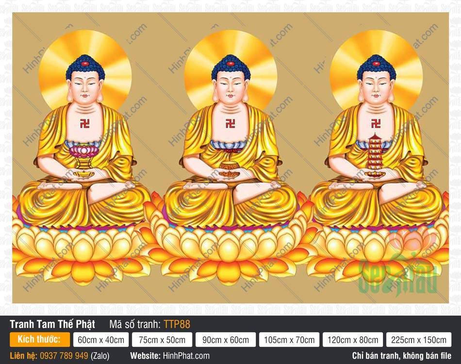 Hình Tam Thế Nhất Thiết Chư Phật TTP88 Hình Tam Thế Nhất Thiết Chư Phật TTP88 ba vị đồng khoác y phục màu vàng tỏa hào quang