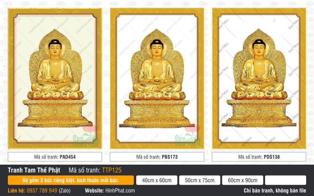 Hình Tam Thế Phật Size Lớn TTP125 Hình Tam Thế Phật Size Lớn TTP125 tông màu vàng kim ngự tòa sen bệ lớn nền kem sáng