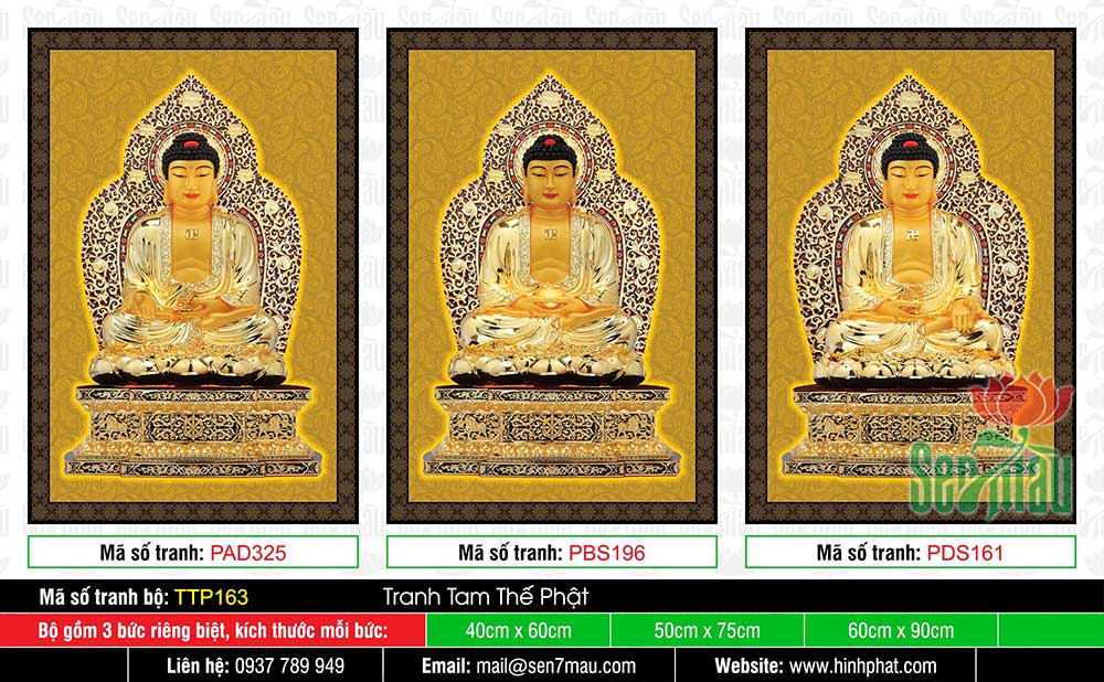Hình Tam Thế Phật - Size Lớn TTP163