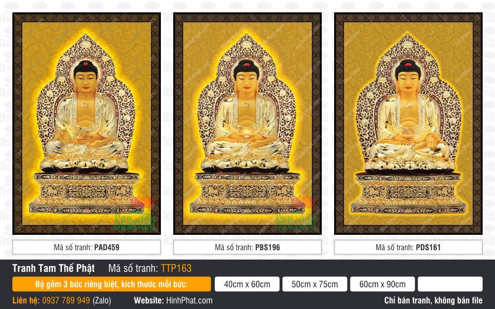 Hình Tam Thế Phật Size Lớn TTP163 Hình Tam Thế Phật Size Lớn TTP163 khắc họa bộ ba vị Phật tỏa hào quang