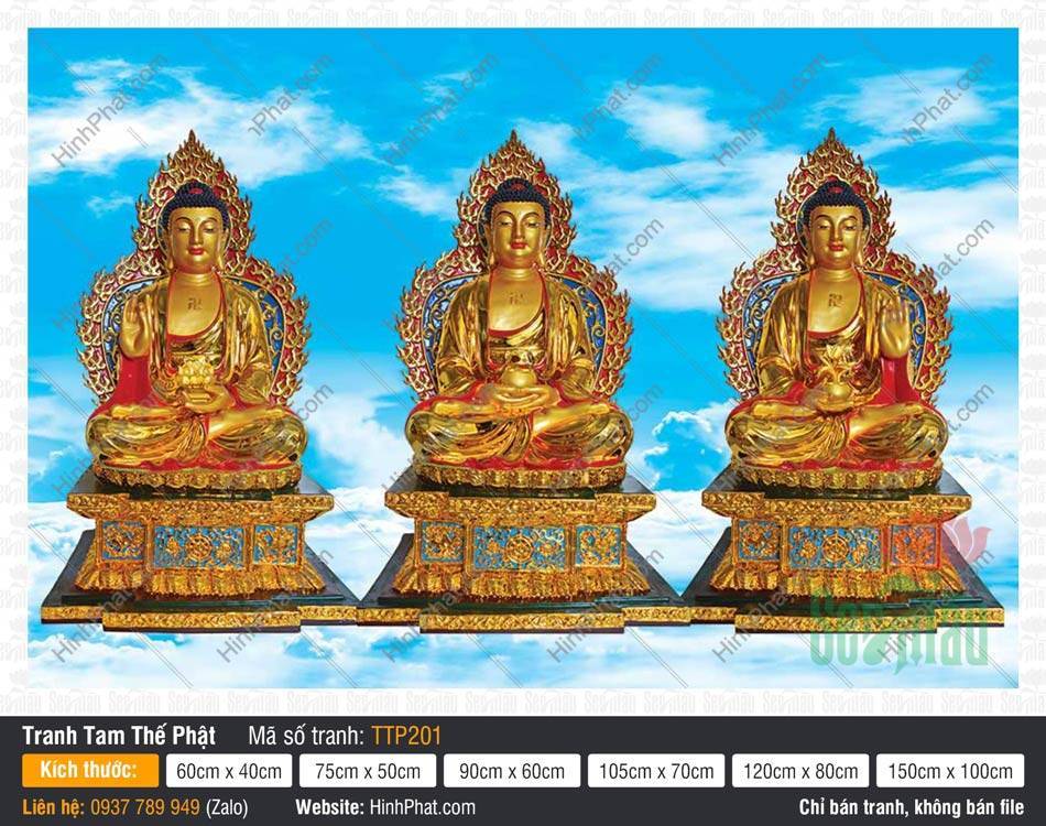 Hình Tam Thế Phật Size Lớn TTP201 Hình Tam Thế Phật Size Lớn TTP201 tỏa sắc vàng kim cùng hào quang lửa rực rỡ
