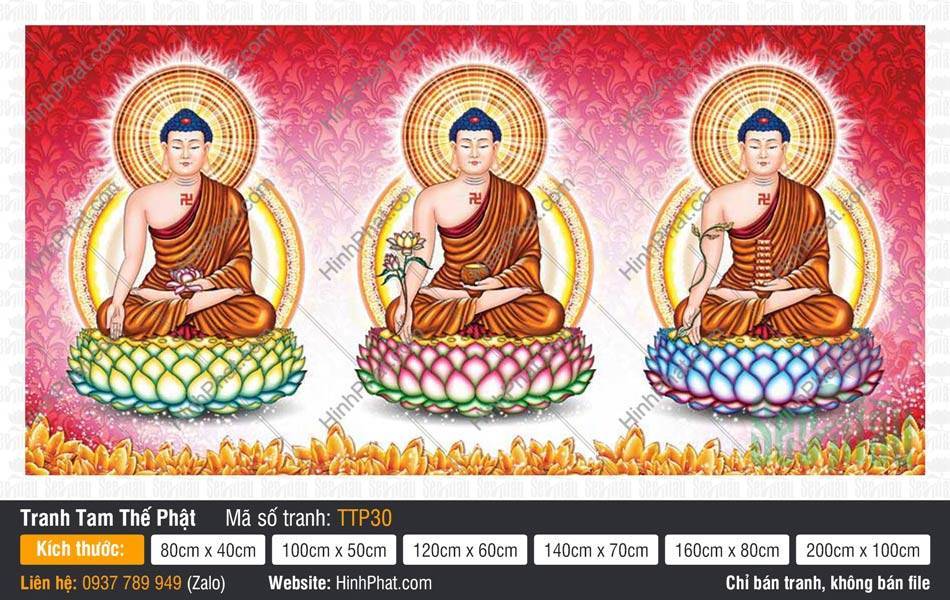 Hình Tam Thế Phật Size Lớn TTP30 Hình Tam Thế Phật Size Lớn TTP30 ba Đức Phật đắp y áo nâu ngự đài sen