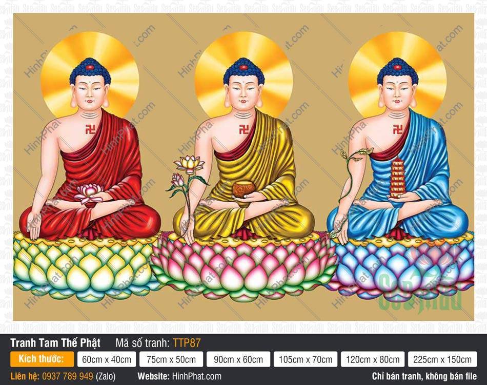 Hình Tam Thế Phật Size Lớn TTP87 Hình Tam Thế Phật Size Lớn TTP87 họa ba vị Phật áo đỏ vàng xanh