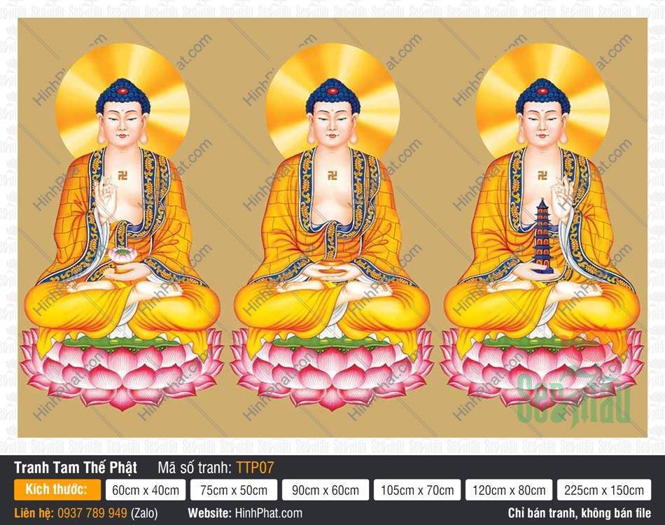 Hình Tam Thế Phật TTP07 Hình Tam Thế Phật TTP07 họa ba vị Phật tọa thiền trên tòa sen hồng nền vàng