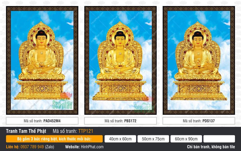 Hình Tam Thế Phật TTP121 Hình Tam Thế Phật TTP121 giả phù điêu vàng ròng trên nền trời xanh mây trắng