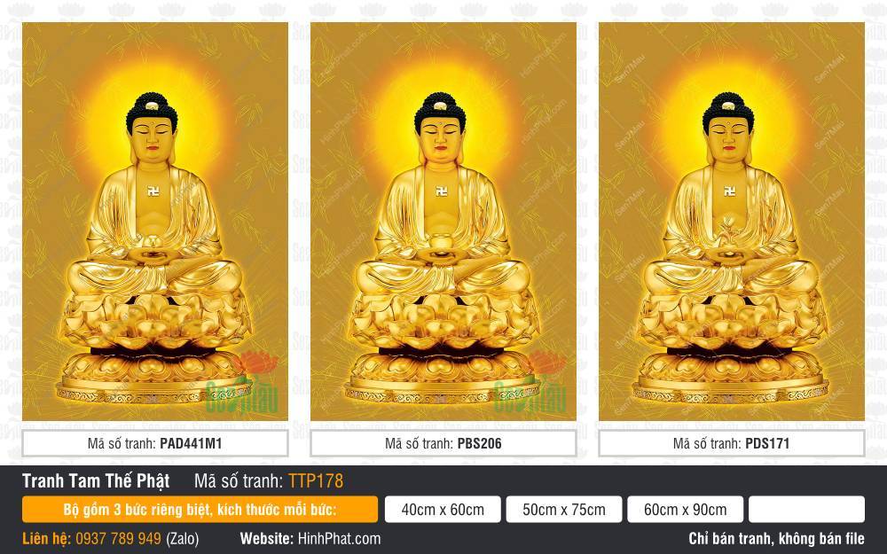 Hình Tam Thế Phật TTP178 Hình Tam Thế Phật TTP178 tòa sen vàng quầng hào quang tròn tỏa tia sáng