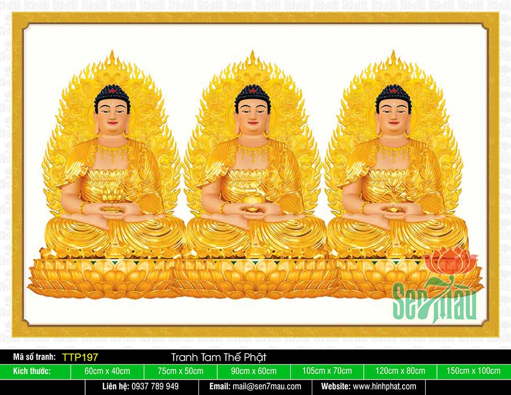 Hình Tam Thế Phật TTP197
