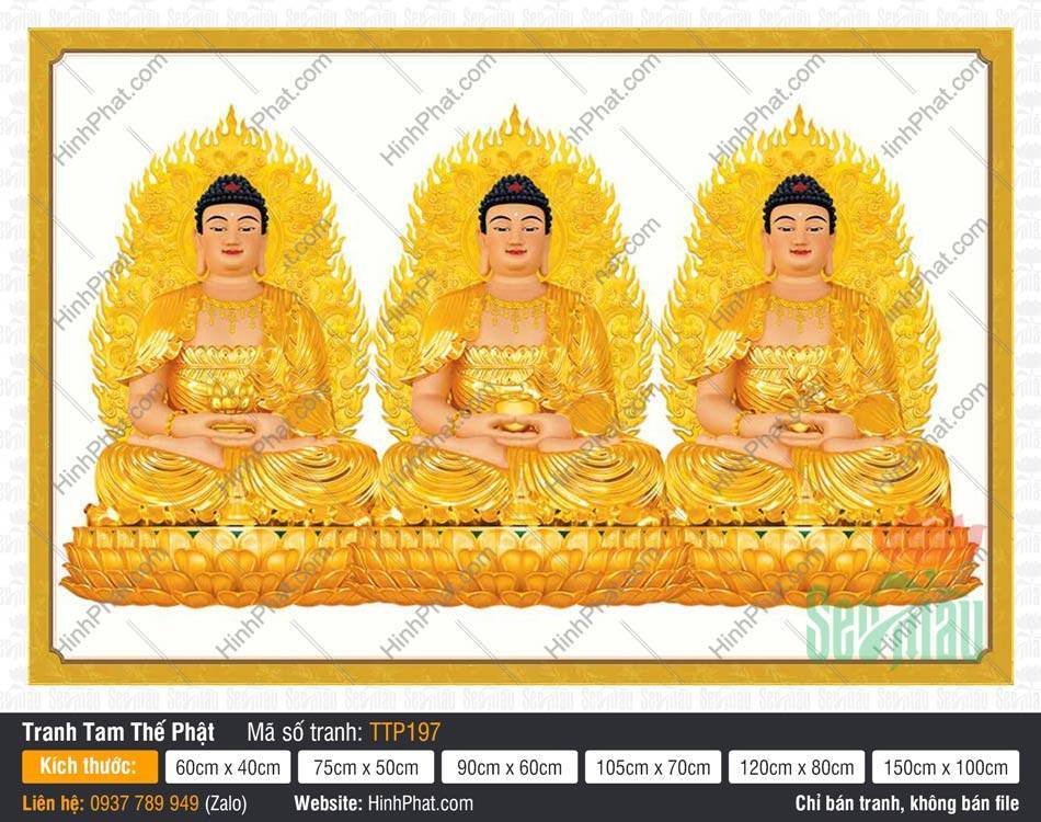 Hình Tam Thế Phật TTP197 Hình Tam Thế Phật TTP197 vẽ ba Đức Phật ngự tòa sen báu nền trắng