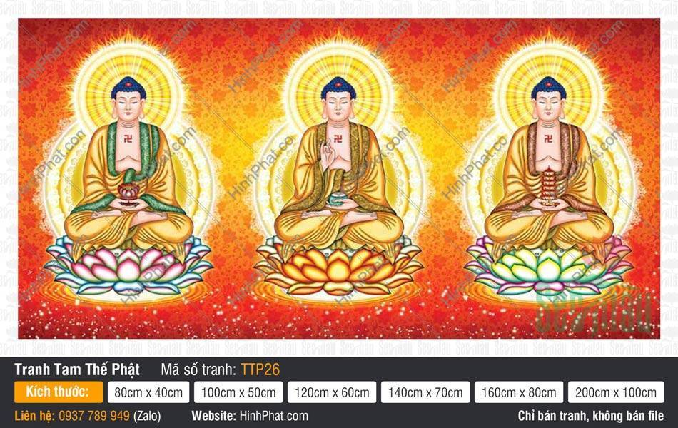 Hình Tam Thế Phật TTP26 Bức Hình Tam Thế Phật TTP26 miêu tả ba Đức Phật đắp y vàng ngự tòa sen