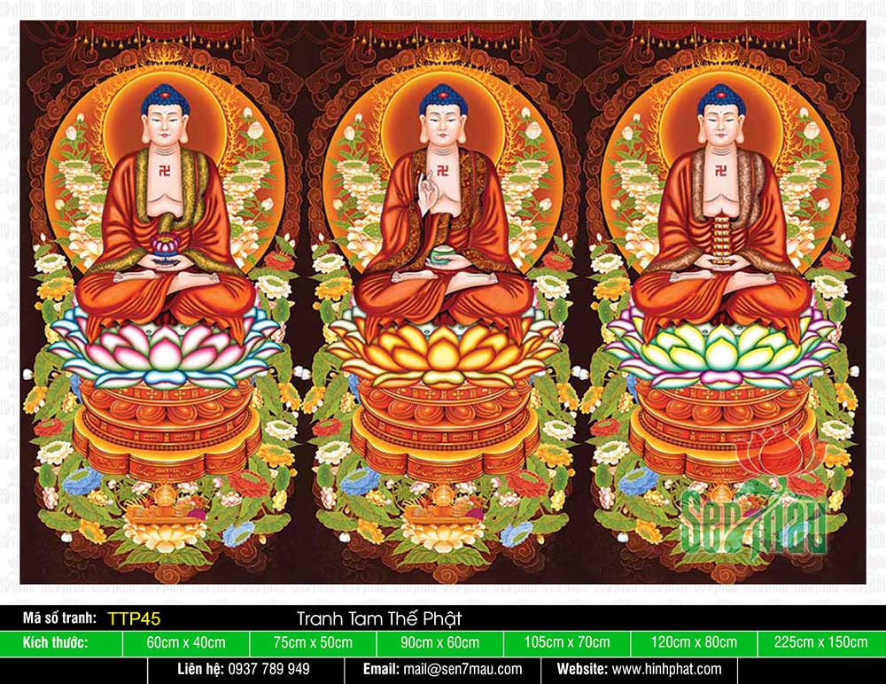 Hình Tam Thế Phật TTP45