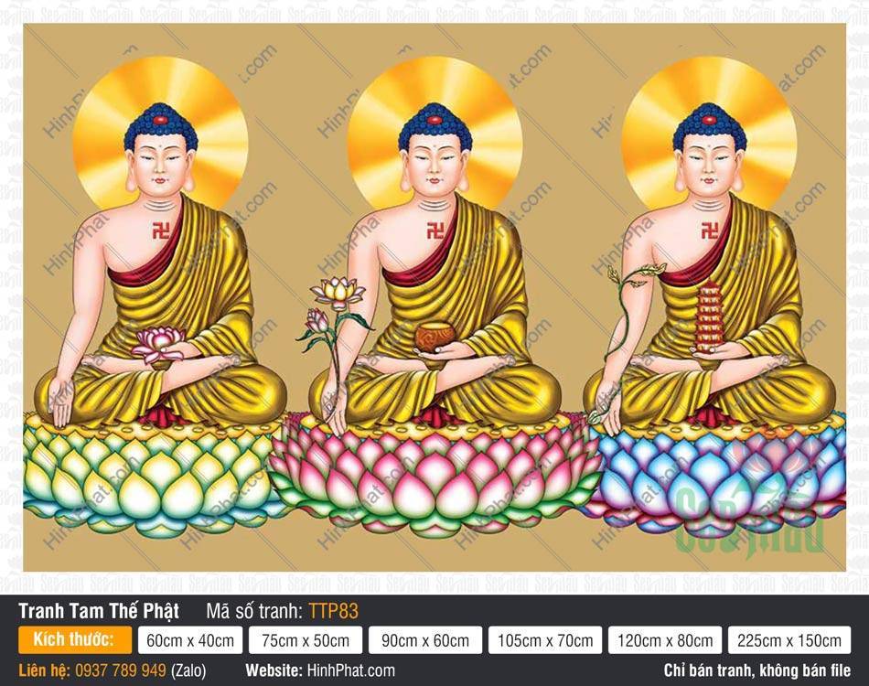 Hình Tam Thế Phật TTP83 Hình Tam Thế Phật TTP83 khắc họa ba vị Phật mặc y vàng nền gấm
