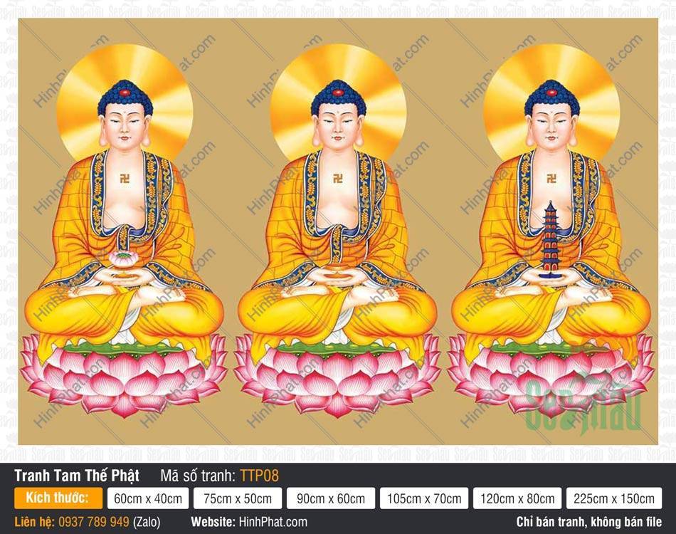Hình Tam Thế Phật đẹp TTP08 Hình Tam Thế Phật đẹp TTP08 khắc họa ba Đức Phật ngự đài sen hồng