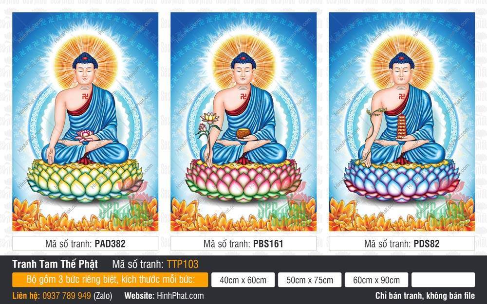 Hình Tam Thế Phật đẹp TTP103 Hình Tam Thế Phật đẹp TTP103 ba Đức Phật áo xanh tọa sen hồng