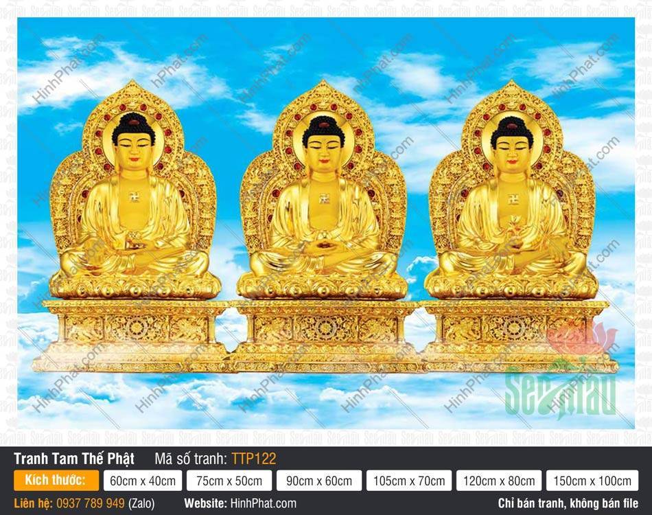 Hình Tam Thế Phật đẹp TTP122 Hình Tam Thế Phật đẹp TTP122 sắc vàng kim ngự tòa sen giữa nền trời mây xanh