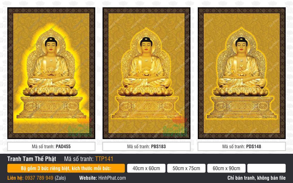 Hình Tam Thế Phật đẹp TTP141 Hình Tam Thế Phật đẹp TTP141 sắc hoàng kim rực rỡ trên nền gấm hoa văn