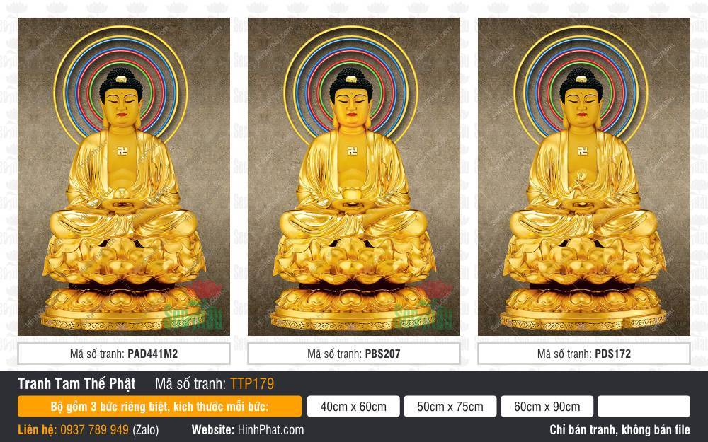 Hình Tam Thế Phật đẹp TTP179 Hình Tam Thế Phật đẹp TTP179 khắc họa ba Đức Phật tỏa hào quang đa sắc