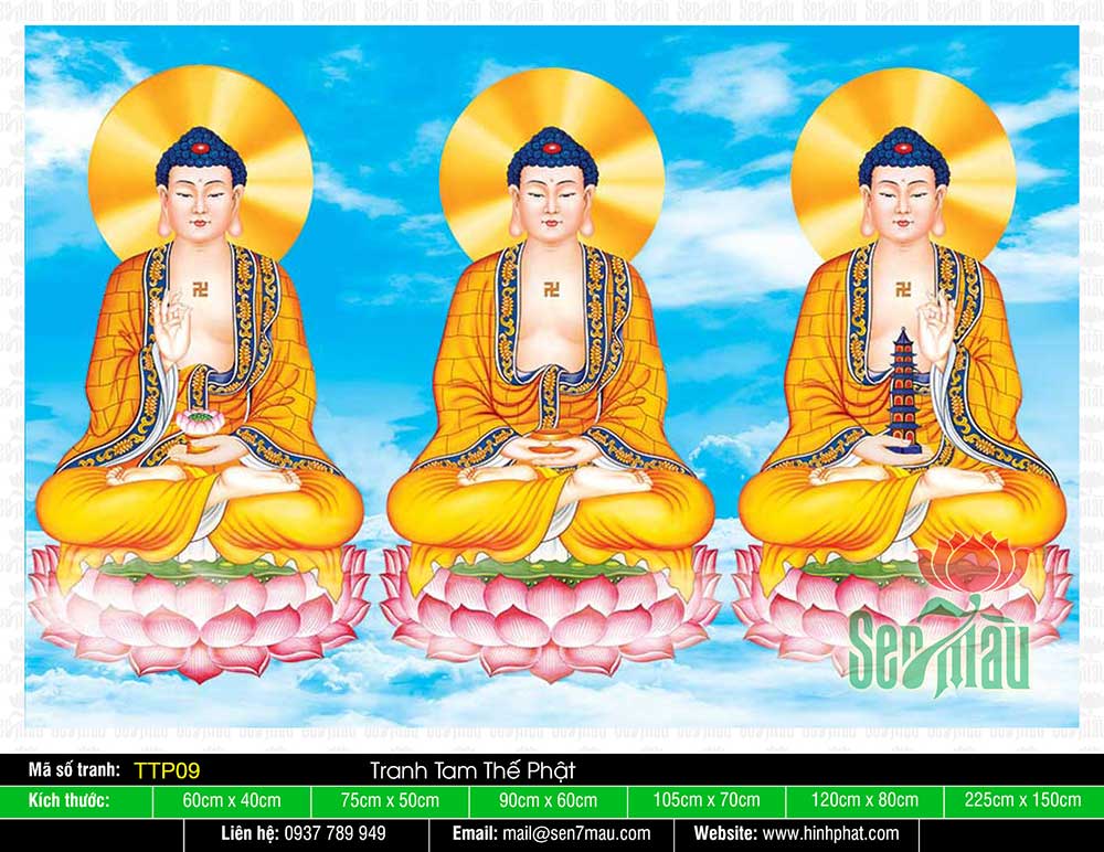 Hình Tam Thế Phật đẹp nhất TTP09