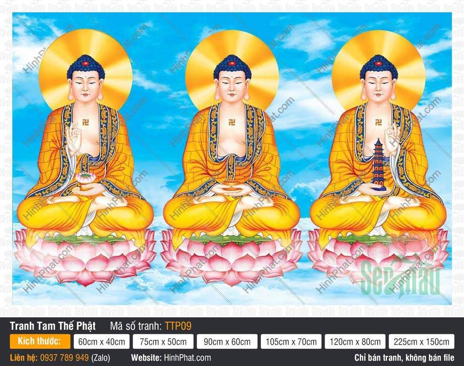 Hình Tam Thế Phật đẹp nhất TTP09 Hình Tam Thế Phật đẹp nhất TTP09 ba Đức Phật đắp y vàng tòa sen hồng