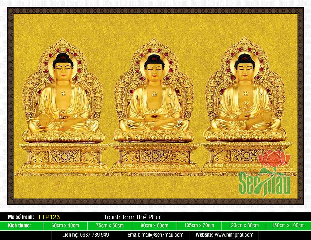 Hình Tam Thế Phật đẹp nhất TTP123