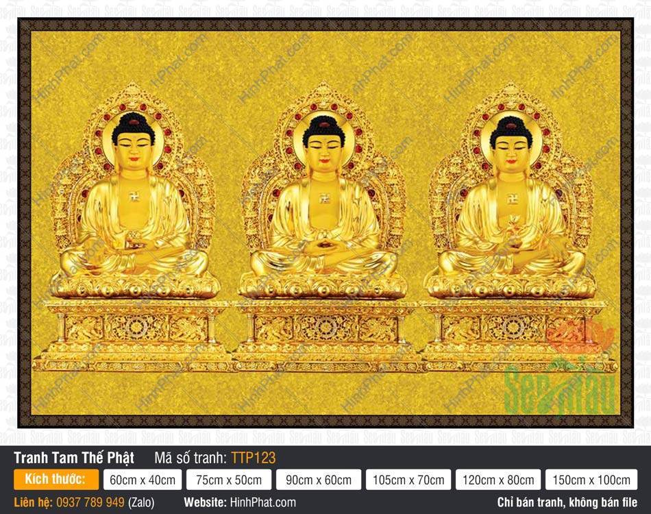 Hình Tam Thế Phật đẹp nhất TTP123 Hình Tam Thế Phật đẹp nhất tỏa sắc vàng kim uy nghiêm trên nền gấm hoa văn cổ kính