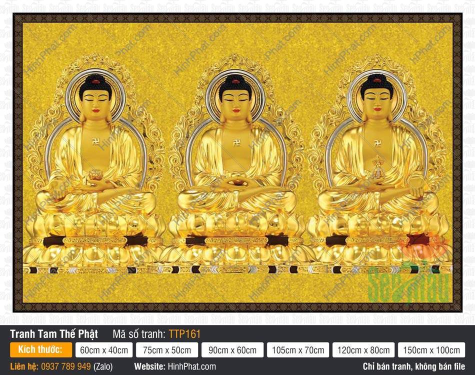 Hình Tam Thế Phật đẹp nhất TTP161 Hình Tam Thế Phật đẹp nhất TTP161 vẽ ba Đức Phật ngự sen vàng