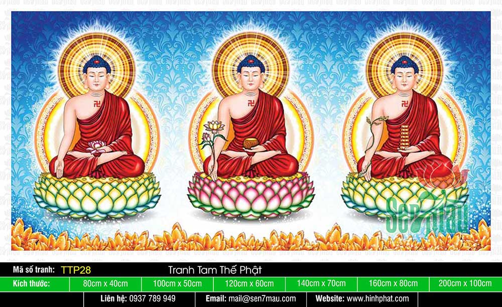 Hình Tam Thế Phật đẹp nhất TTP28