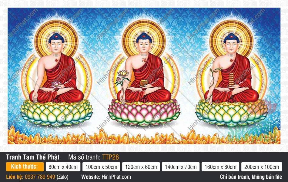 Hình Tam Thế Phật đẹp nhất TTP28 Hình Tam Thế Phật đẹp nhất TTP28 khắc họa ba Đức Phật khoác y phục màu đỏ tía lộ vai hữu trang nghiêm