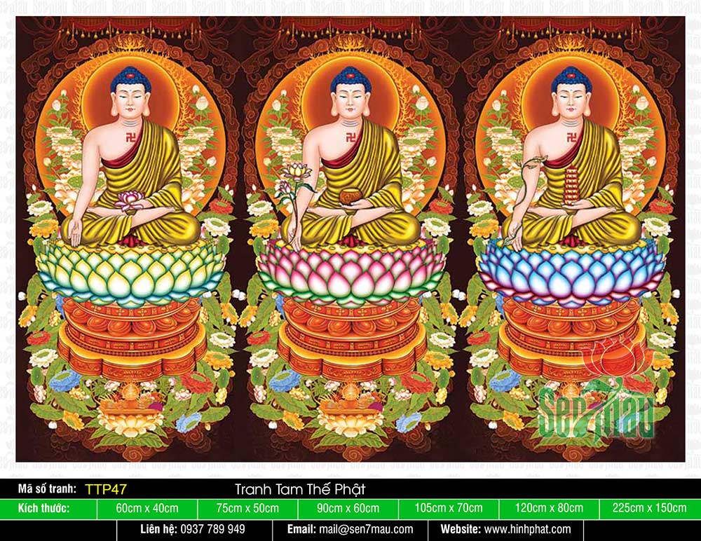 Hình Tam Thế Phật đẹp nhất TTP47