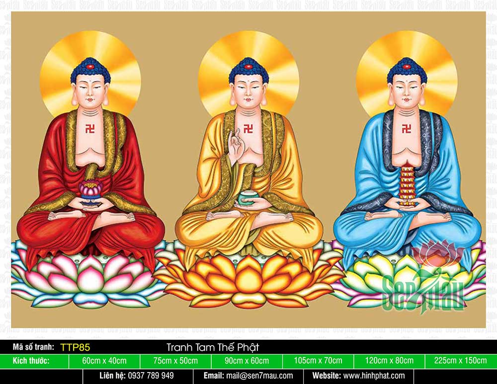 Tam Thế Phật là biểu tượng của sự Hoằng Lai, Sám Hối và Quán Âm. Những hình ảnh Tam Thế Phật sẽ giúp chúng ta cảm nhận được tình thương và bao dung của Phật.