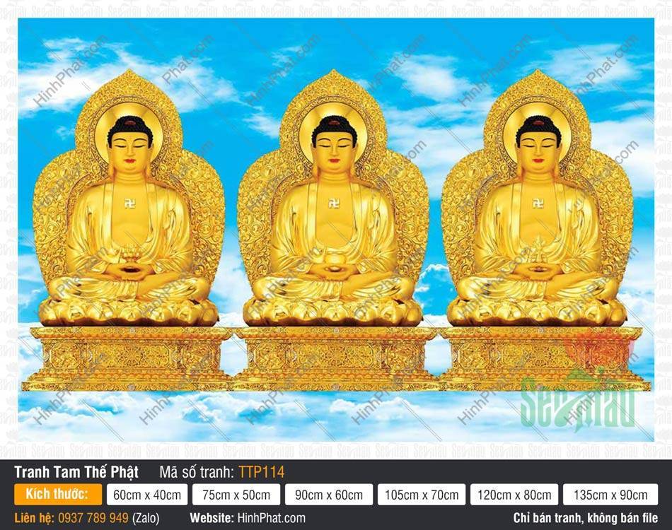 Nam Mô Quá Khứ Hiện Tại Vị Lai Tam Thế Chư Phật TTP114 Nam Mô Quá Khứ Hiện Tại Vị Lai Tam Thế Chư Phật TTP114 toàn thân sắc vàng kim tọa đài sen