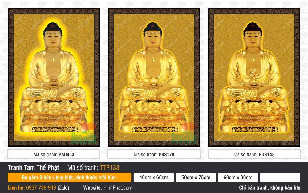 Nam Mô Quá Khứ Hiện Tại Vị Lai Tam Thế Chư Phật TTP133 Nam Mô Quá Khứ Hiện Tại Vị Lai Tam Thế Chư Phật TTP133 nền gấm vàng hào quang tròn tỏa sáng