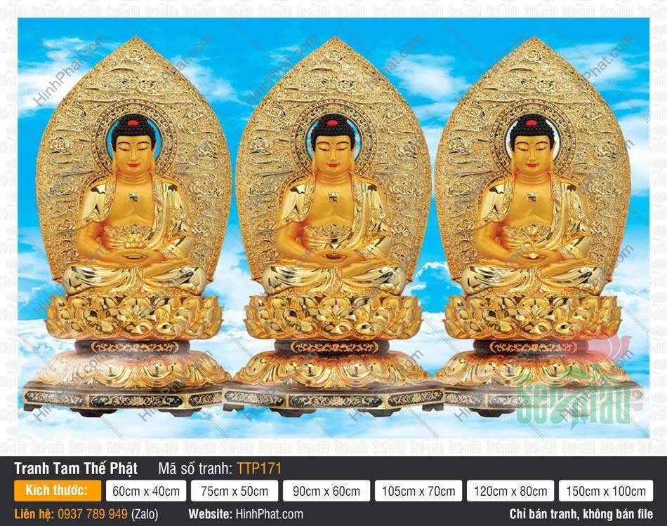 Nam Mô Quá Khứ Hiện Tại Vị Lai Tam Thế Chư Phật TTP171 Nam Mô Quá Khứ Hiện Tại Vị Lai Tam Thế Chư Phật TTP171 sắc vàng kim trên nền trời mây