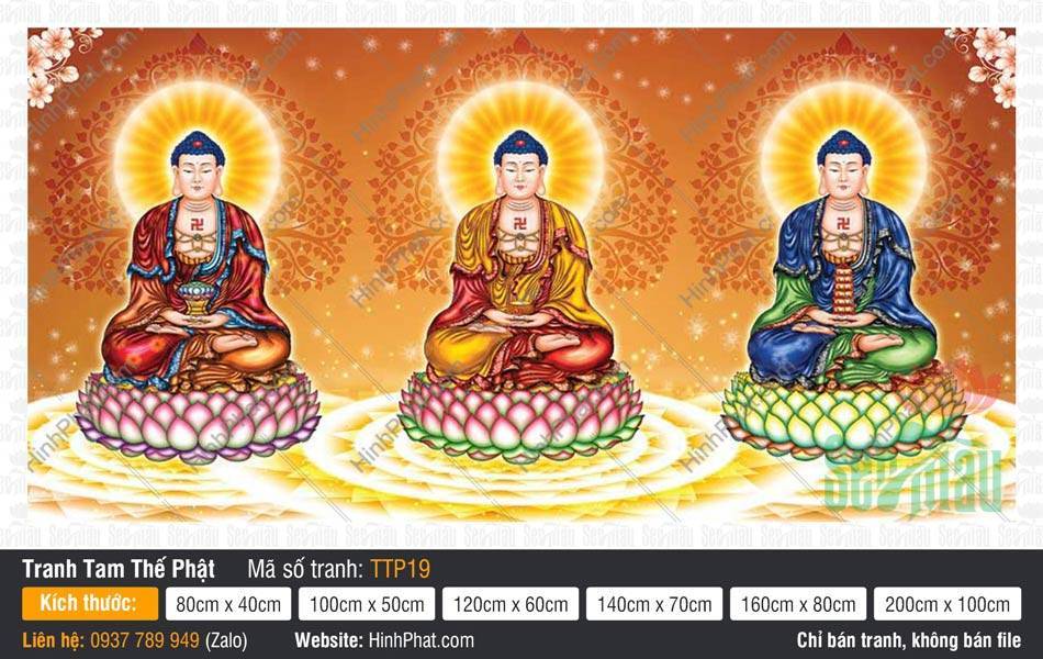 Nam Mô Quá Khứ Hiện Tại Vị Lai Tam Thế Chư Phật TTP19 Nam Mô Quá Khứ Hiện Tại Vị Lai Tam Thế Chư Phật TTP19 tọa đài sen