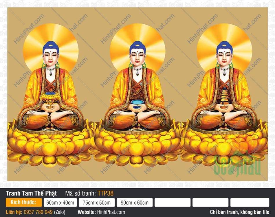 Nam Mô Quá Khứ Hiện Tại Vị Lai Tam Thế Chư Phật TTP38 Nam Mô Quá Khứ Hiện Tại Vị Lai Tam Thế Chư Phật TTP38 nền vàng