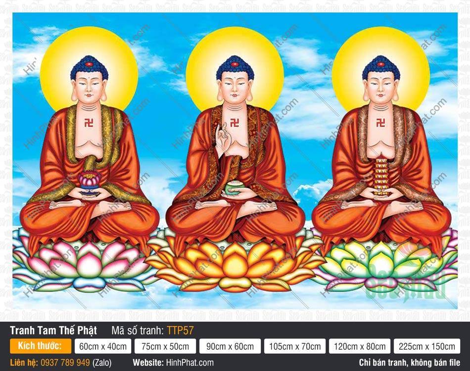 Nam Mô Quá Khứ Hiện Tại Vị Lai Tam Thế Chư Phật TTP57 Nam Mô Quá Khứ Hiện Tại Vị Lai Tam Thế Chư Phật TTP57 áo đỏ nâu