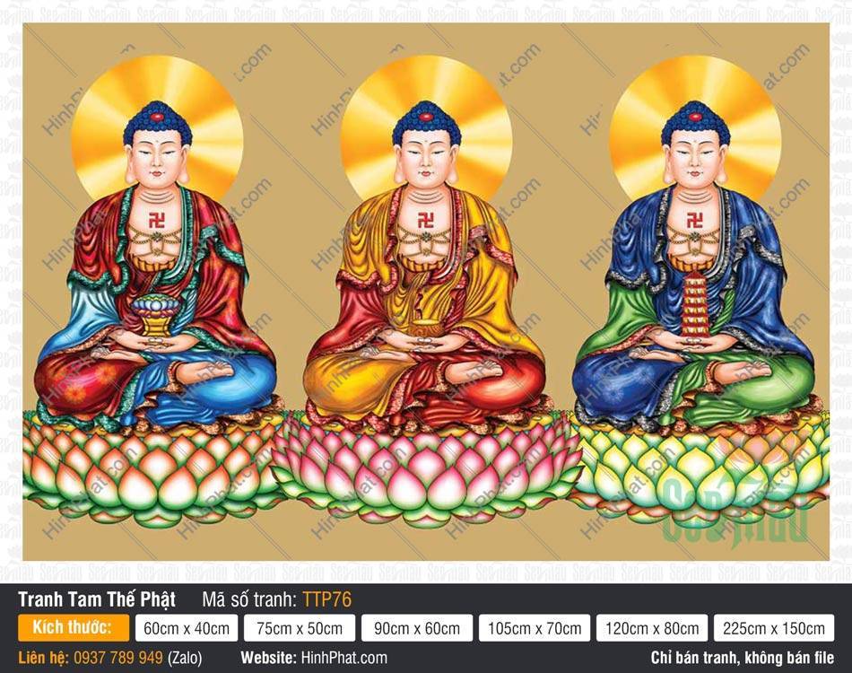 Nam Mô Quá Khứ Hiện Tại Vị Lai Tam Thế Chư Phật TTP76 Tranh Nam Mô Quá Khứ Hiện Tại Vị Lai Tam Thế Chư Phật tỏa tia sáng