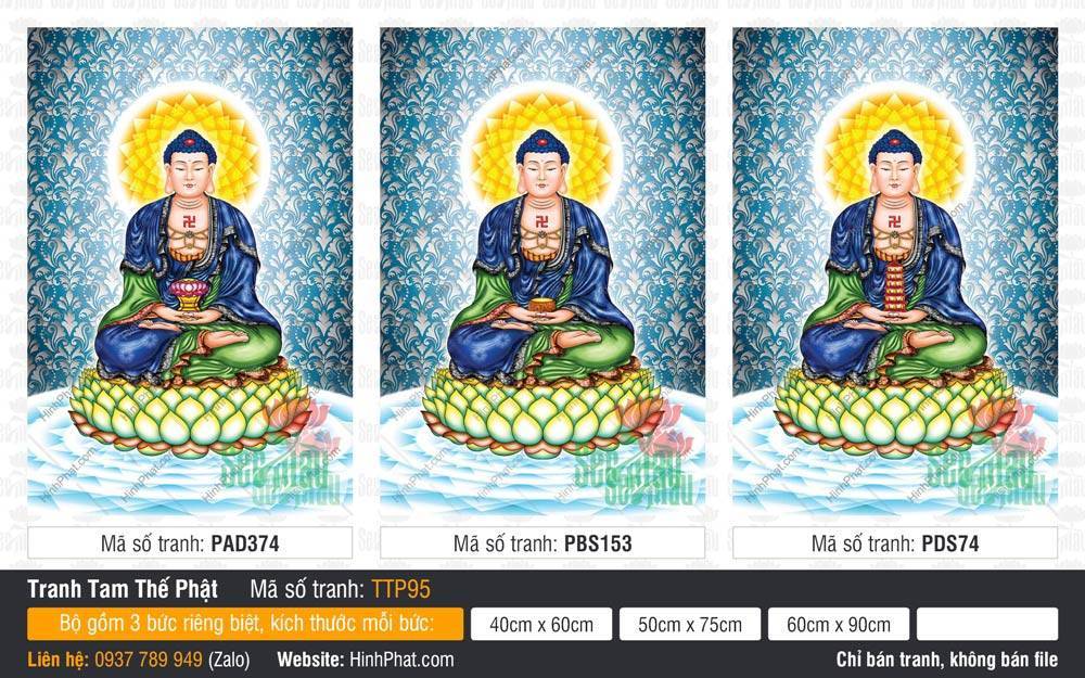 Nam Mô Quá Khứ Hiện Tại Vị Lai Tam Thế Chư Phật TTP95 Nam Mô Quá Khứ Hiện Tại Vị Lai Tam Thế Chư Phật TTP95 y xanh lam