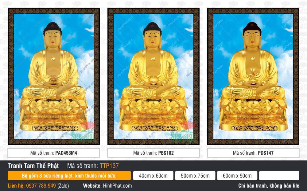 Tam Thế Chư Phật TTP137 Tam Thế Chư Phật TTP137 vẽ ba Đức Phật tọa sen báu trên nền trời xanh