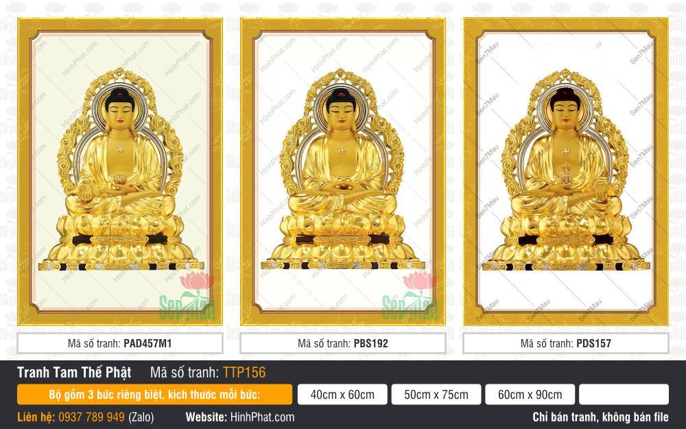 Tam Thế Chư Phật TTP156 Tam Thế Chư Phật TTP156 sắc vàng hoàng kim tọa thiền cùng vầng hào quang tròn tinh xảo