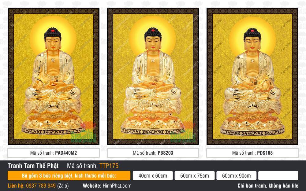 Tam Thế Chư Phật TTP175 Tam Thế Chư Phật TTP175 bộ ba vị Phật tỏa hào quang tròn vàng rực rỡ