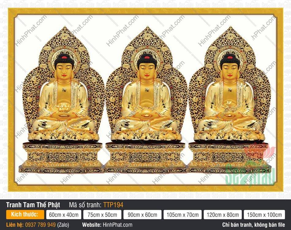 Tam Thế Chư Phật TTP194 Tam Thế Chư Phật TTP194 khắc họa ba Đức Phật ngự đài sen báu hoàng kim