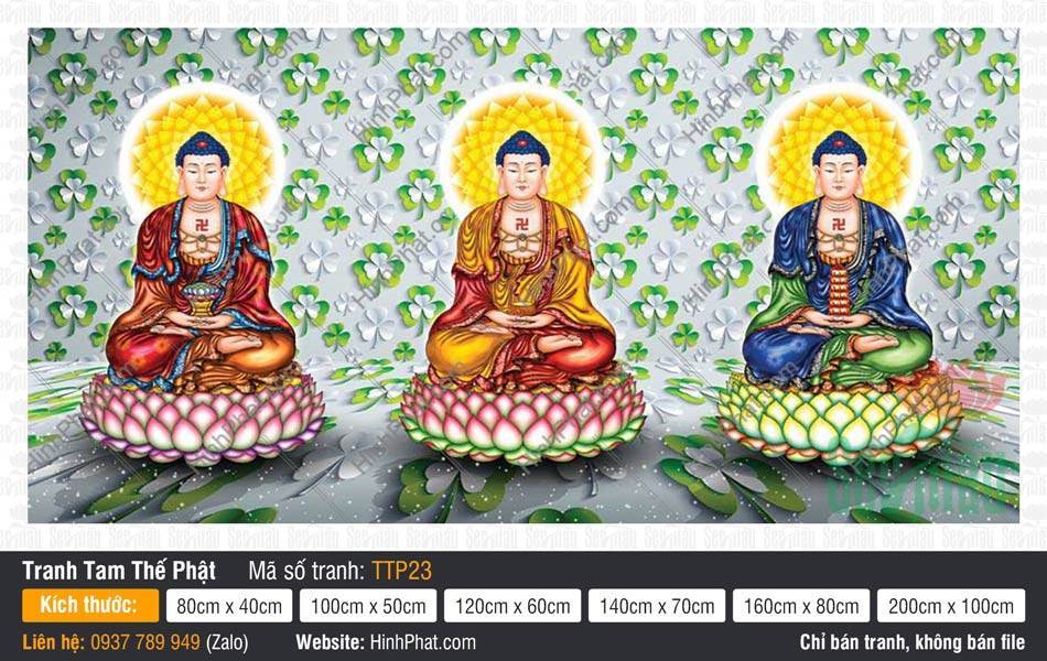 Tam Thế Chư Phật TTP23 Tranh Tam Thế Chư Phật TTP23 khắc họa ba Đức Phật ngự tòa sen nền cỏ xanh